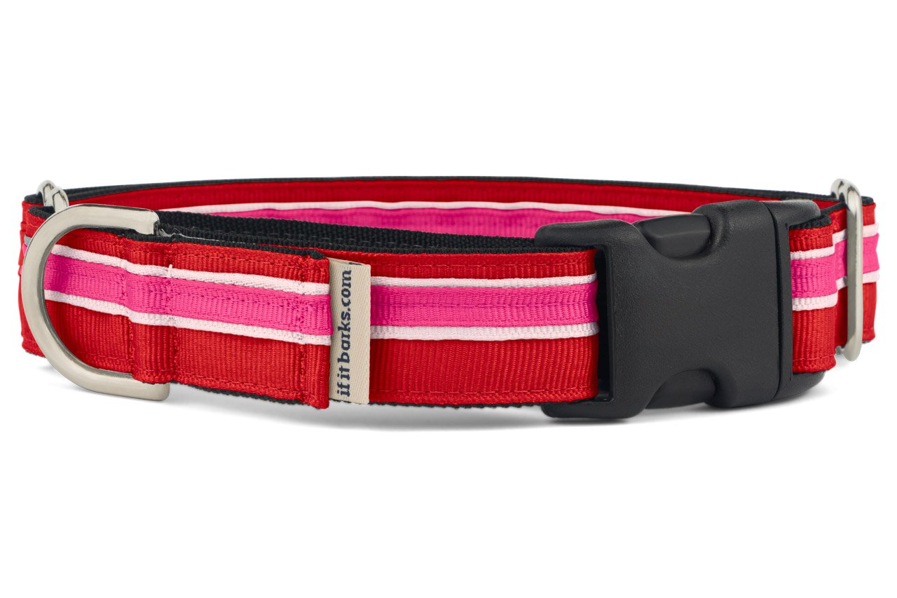 If It Barks 1' Martingale Collar With Quick Snap Release Buckle, Adjustable, Usa Made, Large, Shortcake