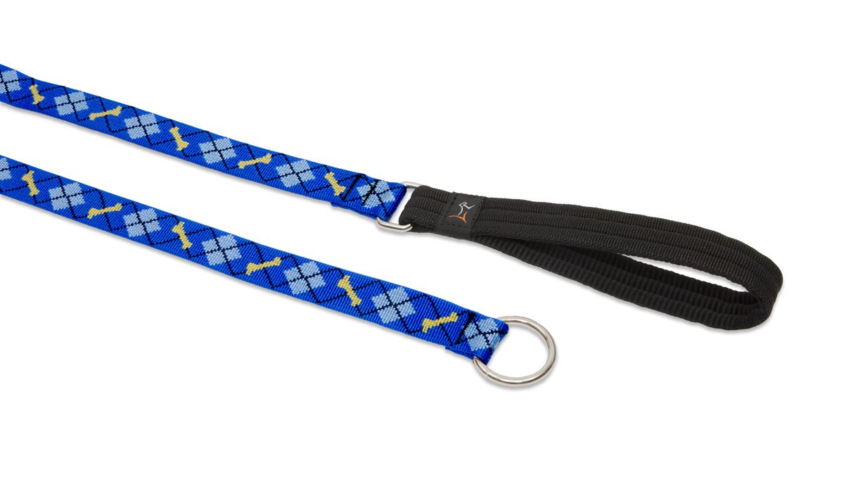 LupinePet Originals 1'' Dapper Dog 6-foot Slip Lead/Leash for Medium and Larger Dogs