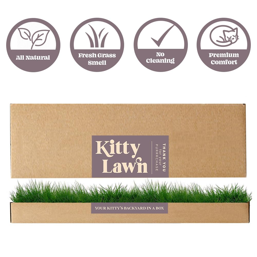 Cat Real Grass Window Bed Perch, Real Grass Cat Window Lounge Bed, Indoor Real Grass Window Bed Perch For Cat, Window Perch For Small And Large Cat, Cat Window Seat Bed For Windowsill And Bedside
