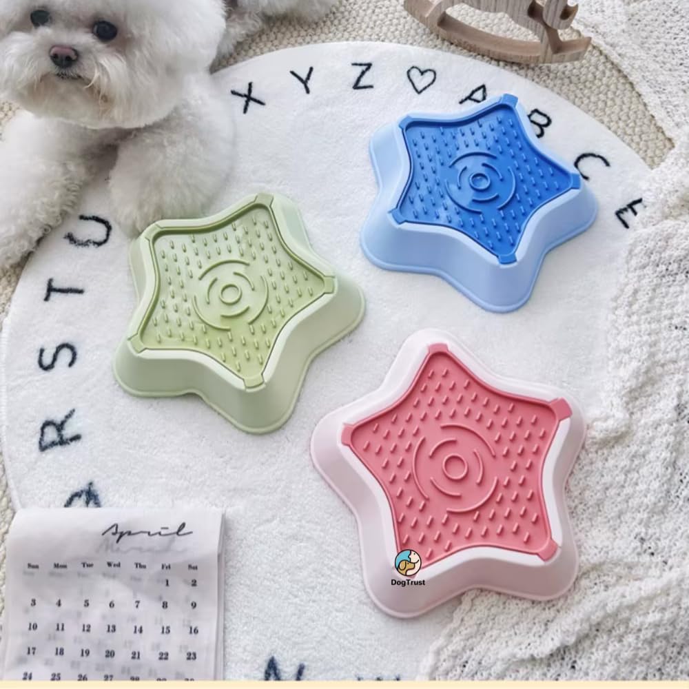 Dog Trust Dog Slow Feeder Food Bowl  NonSlip Base, AntiGulping Puzzle Design Helps Prevent Bloating, Choking & Improves Diges