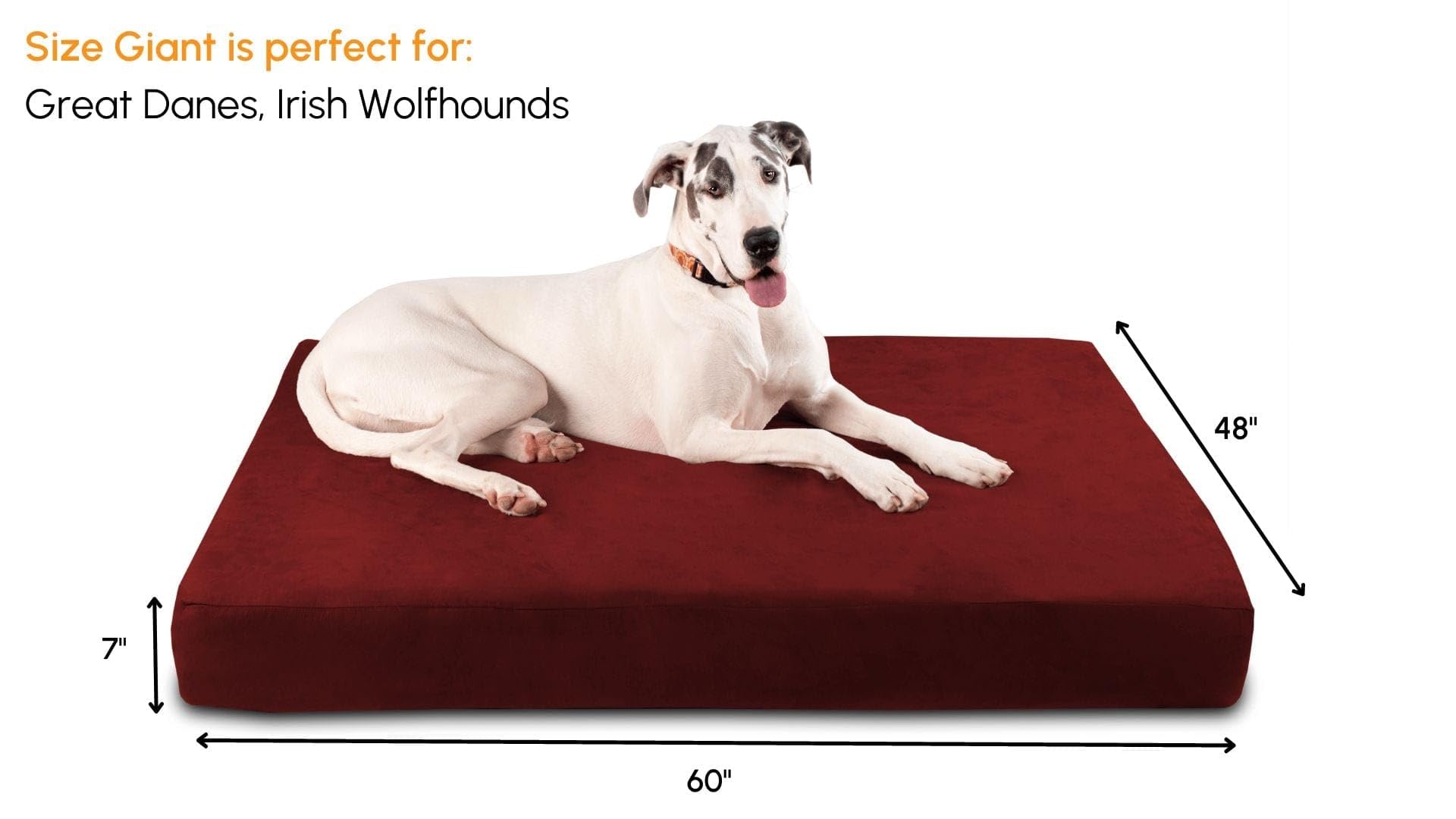 Barker Beds Sleek Giant Dog Bed (Giant, Burgundy) - 7'' Thick Soft & Comfortable Orthopedic Cushion - Big Dog Bed - Durable & Wa