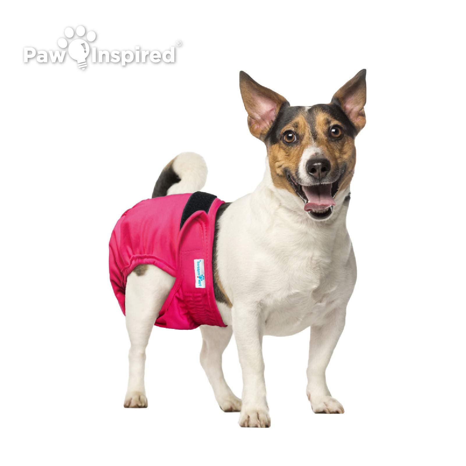 Paw Inspired Washable Dog Diapers | Reusable Dog Diapers | Female Dog Diapers | Absorbent Dog Diapers | Doggie Diaper | 3 Pc | M