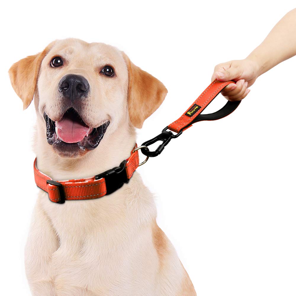 Plutus Pet 10    Short Dog Leash, Reflective Nylon Padded Handle, Strong Traffic Leash With Carabiner Clip, Perfect For Large Or