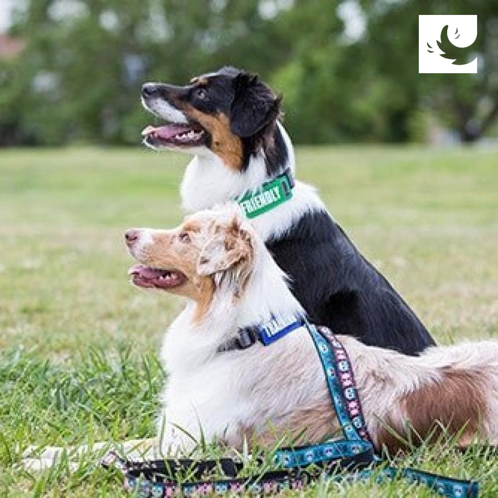 Canine Friendly Bark Notes Patch For Collar Or Leash, 3/4' Width