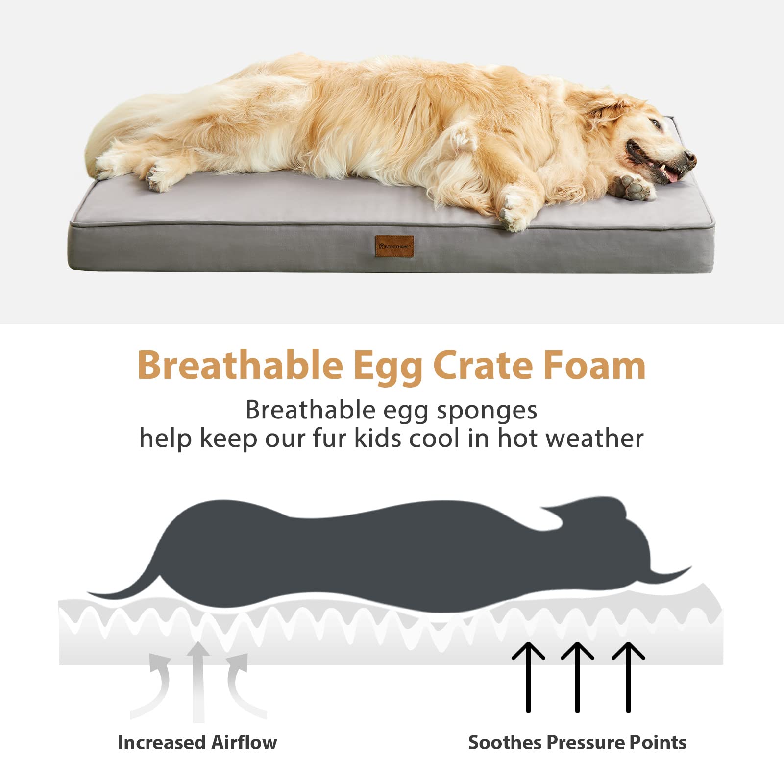 Bfpethome Outdoor Dog Bed For Large Dogs, Waterproof, Orthopedic With Removable Washable Cover, Egg Crate Foam Mat (47 X 29 In,