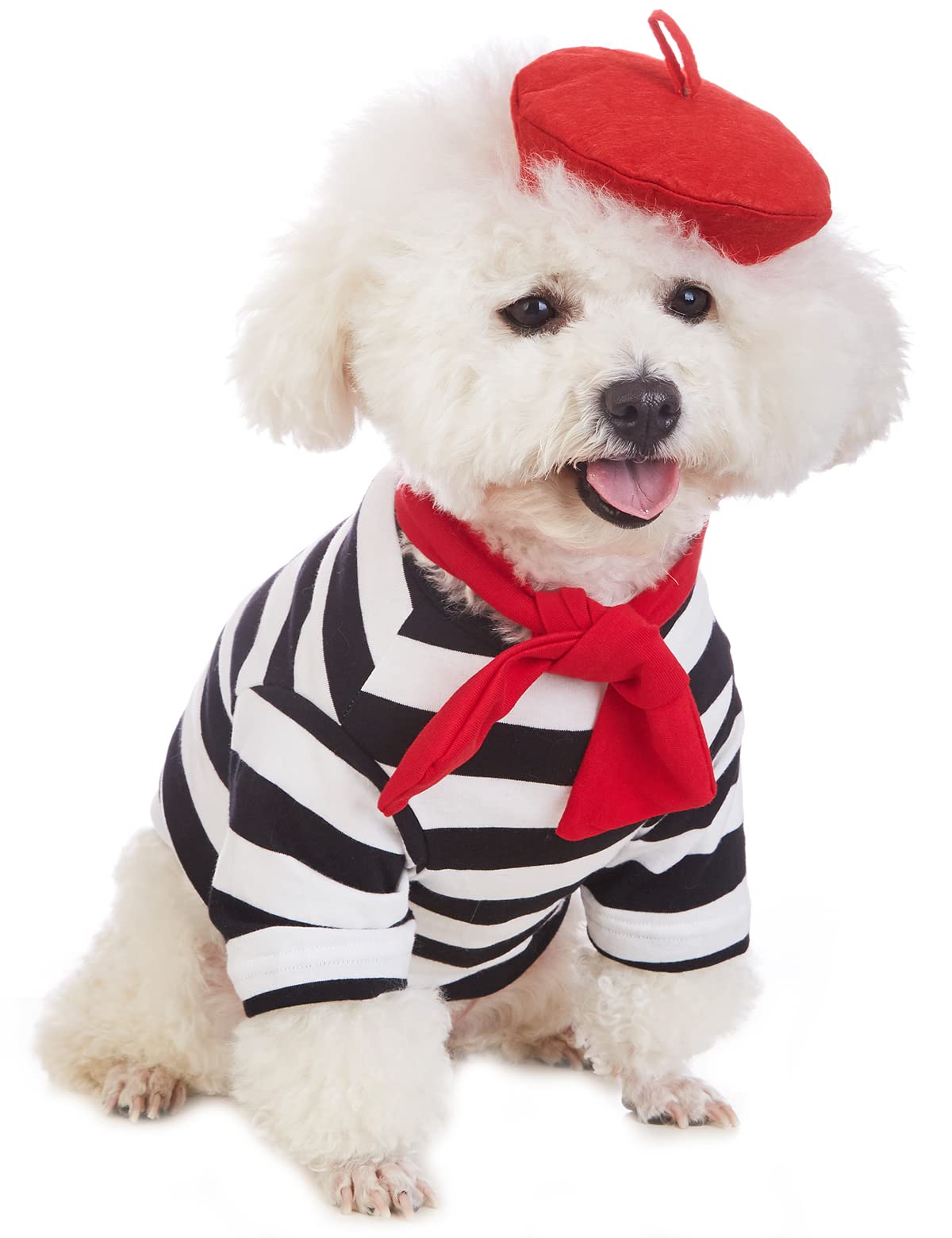 Coomour Black Artist Dog Costume with Funny Painter Hat for X-Small Dogs - Summer T-Shirt for Puppies (2-4lb)