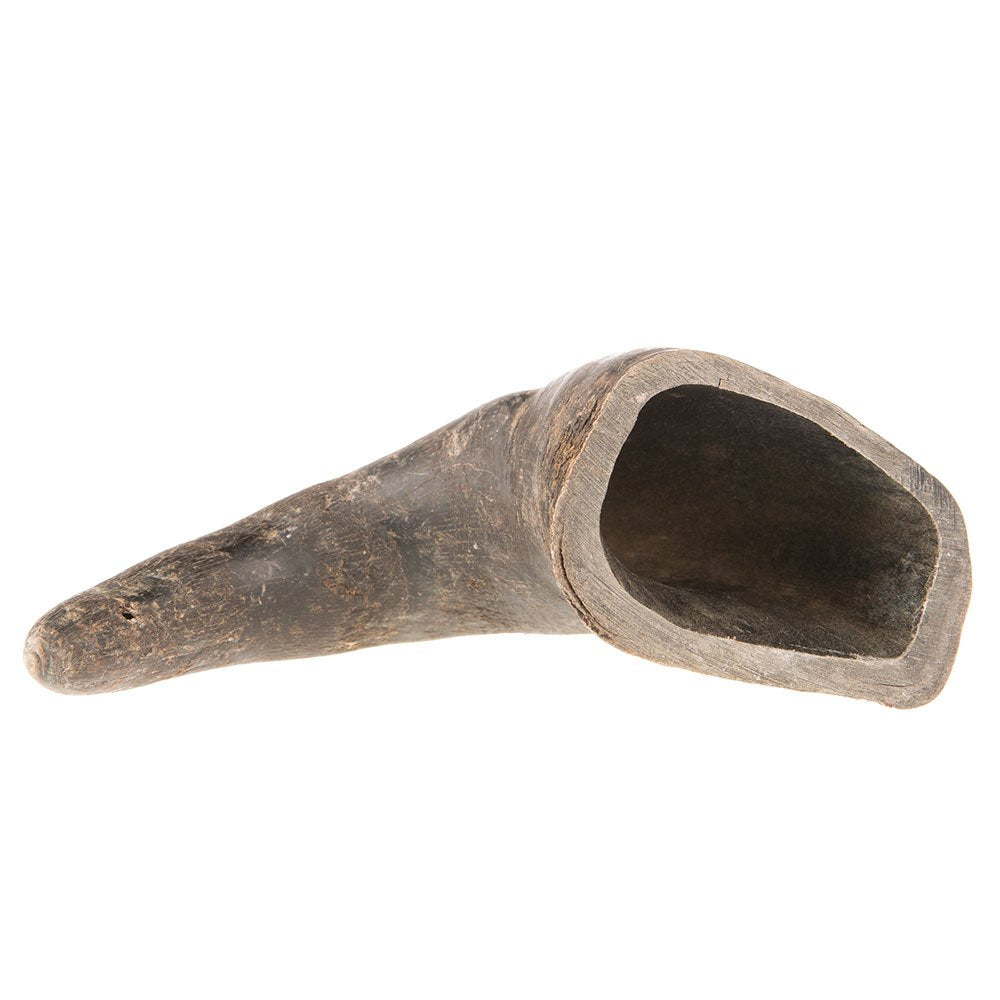 Qt Dog - Buffalo Horn Medium