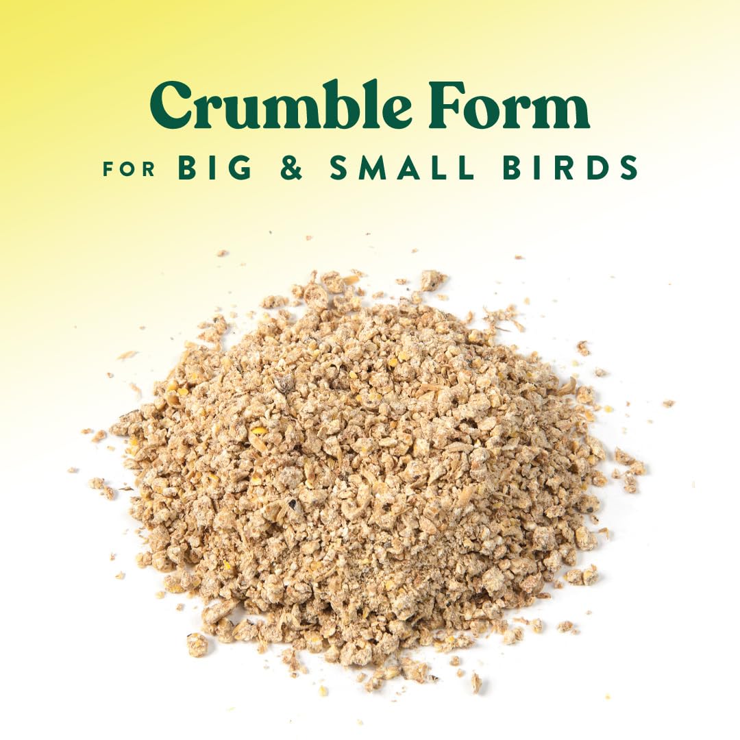 Manna Pro All Flock Crumbles, 16% Protein, Complete Feed for Poultry & gamebirds. Contains probiotics for Digestion, no Artifici