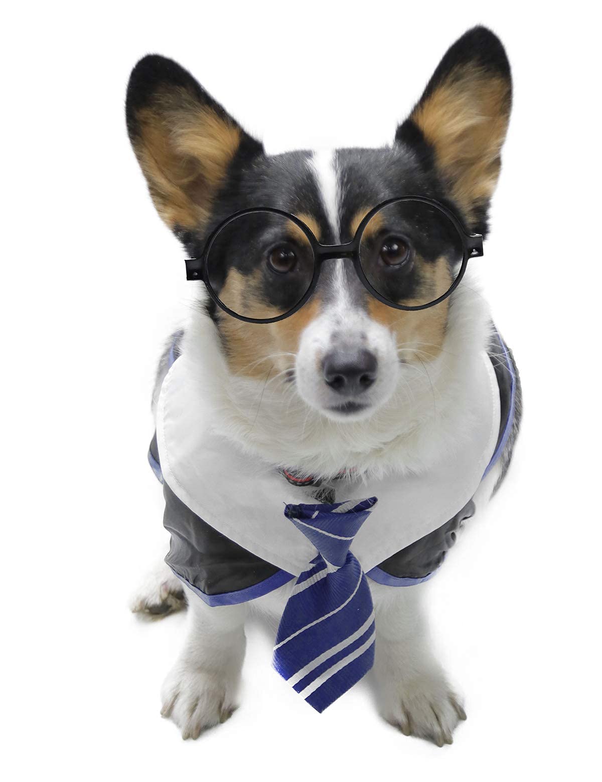 Impoosy Pet Halloween Dog Shirts Funny Cat Wizard Costume Cute Apparel Soft Clothes With Glasses (Large,Neck:18')