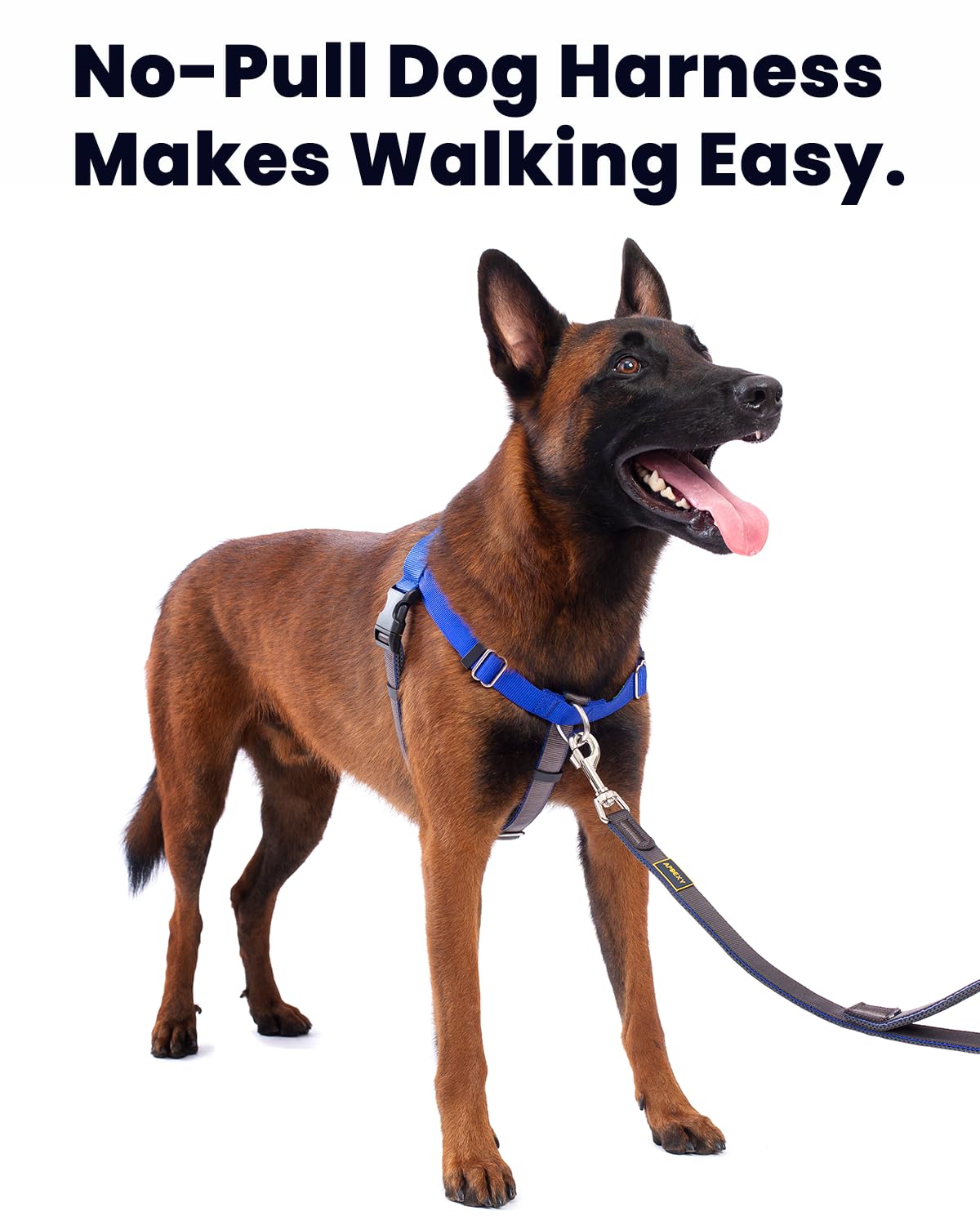 APDEXY Freedom No Pull Dog Harness for Medium Dogs, Easy Walker, Anti Pulling with Two Stainless D-Rings, Comfortable, Sewn-in I