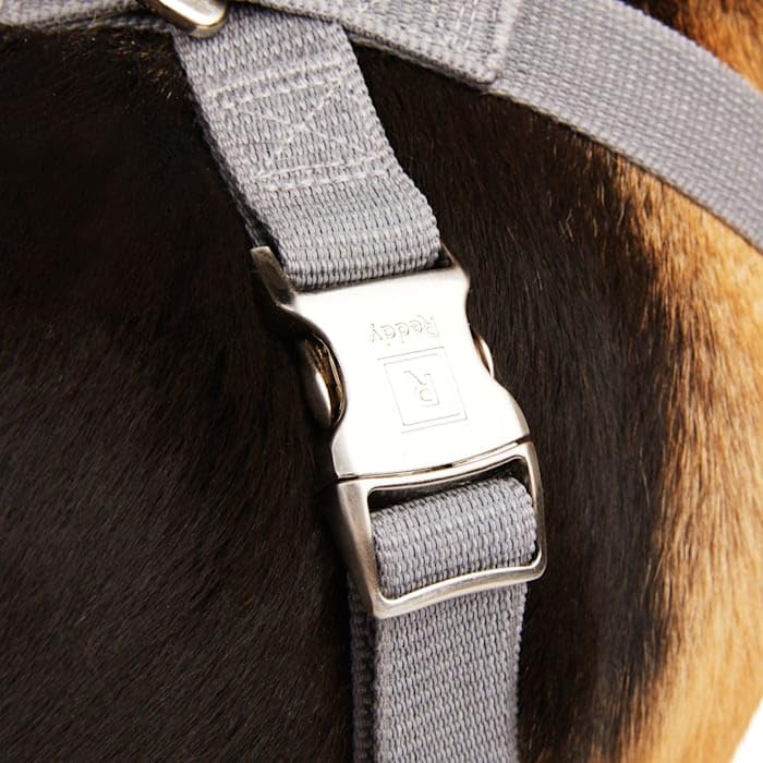 Reddy Grey Reflective Dog Harness X-Large/Xx-Large