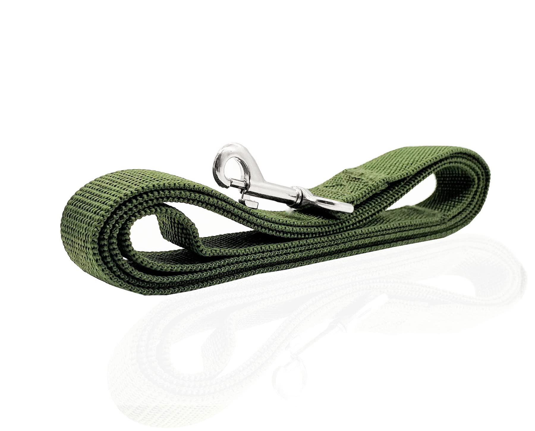 Nylon Dog Leash 12 Feet Long, Walking Training Dog Leashes For Medium Large Dogs(1'' X 12 Ft, Green)