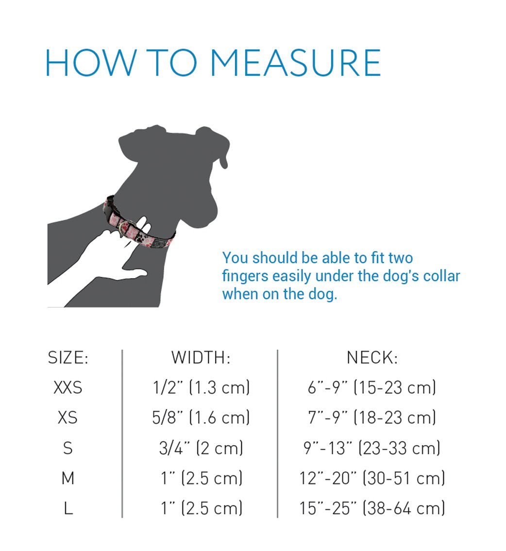 Rc Pets 1 Inch Adjustable Dog Clip Collar, Large, Pineapple Parade