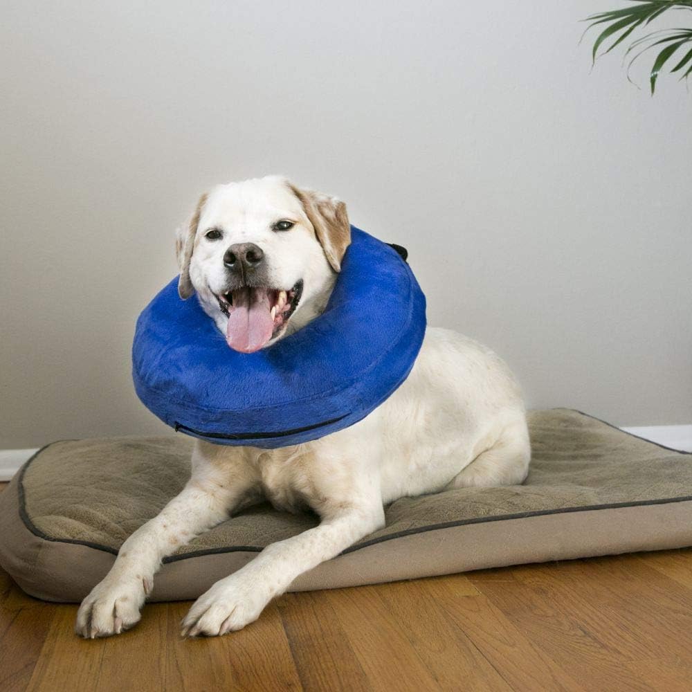 KONG Cloud E-Collar, Dog Collar, X-Large