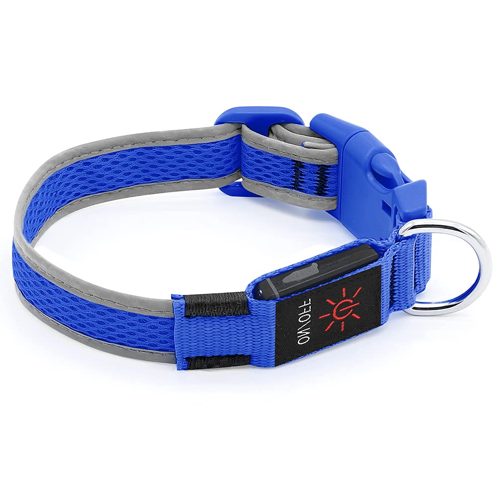 Yfbrite Light Up Dog Collar, Rechargeable Led Dog Collar, Flashing Dog Collar, Adjustable Reflective Dog Collar Safety Glowing At Night (Blue, Large)