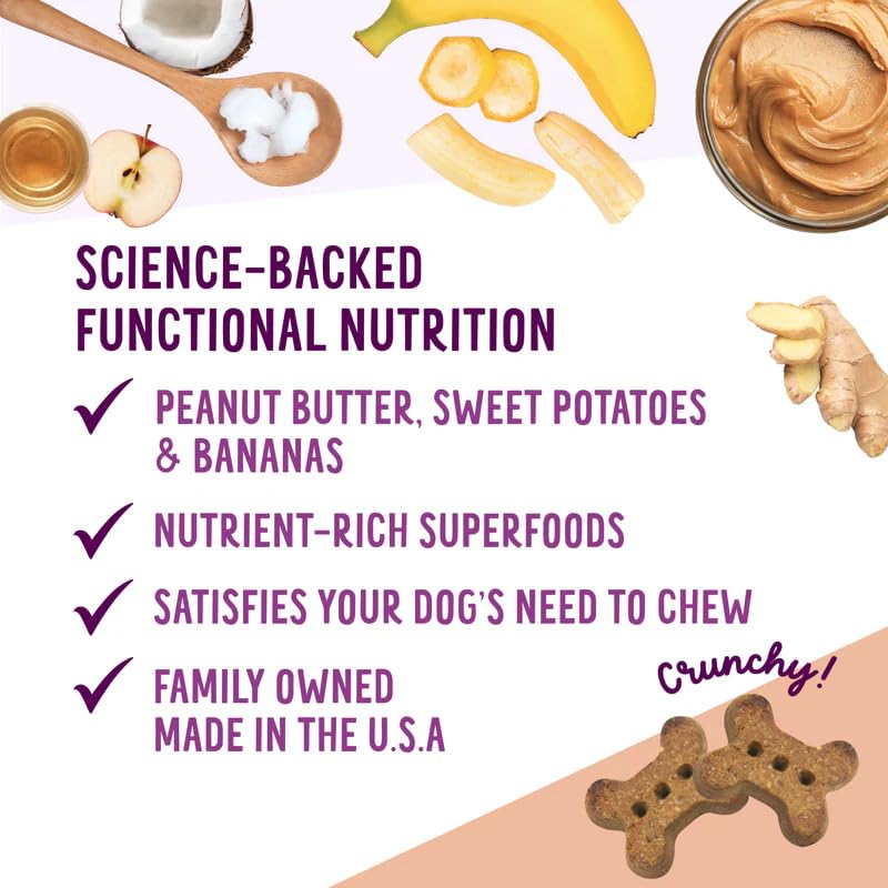 Health Extension Oven-Baked Dog Treats, 6oz (170g), Peanut Butter & Banana Recipe - Gluten & Grain-Free, Superfood-Infused, Crun