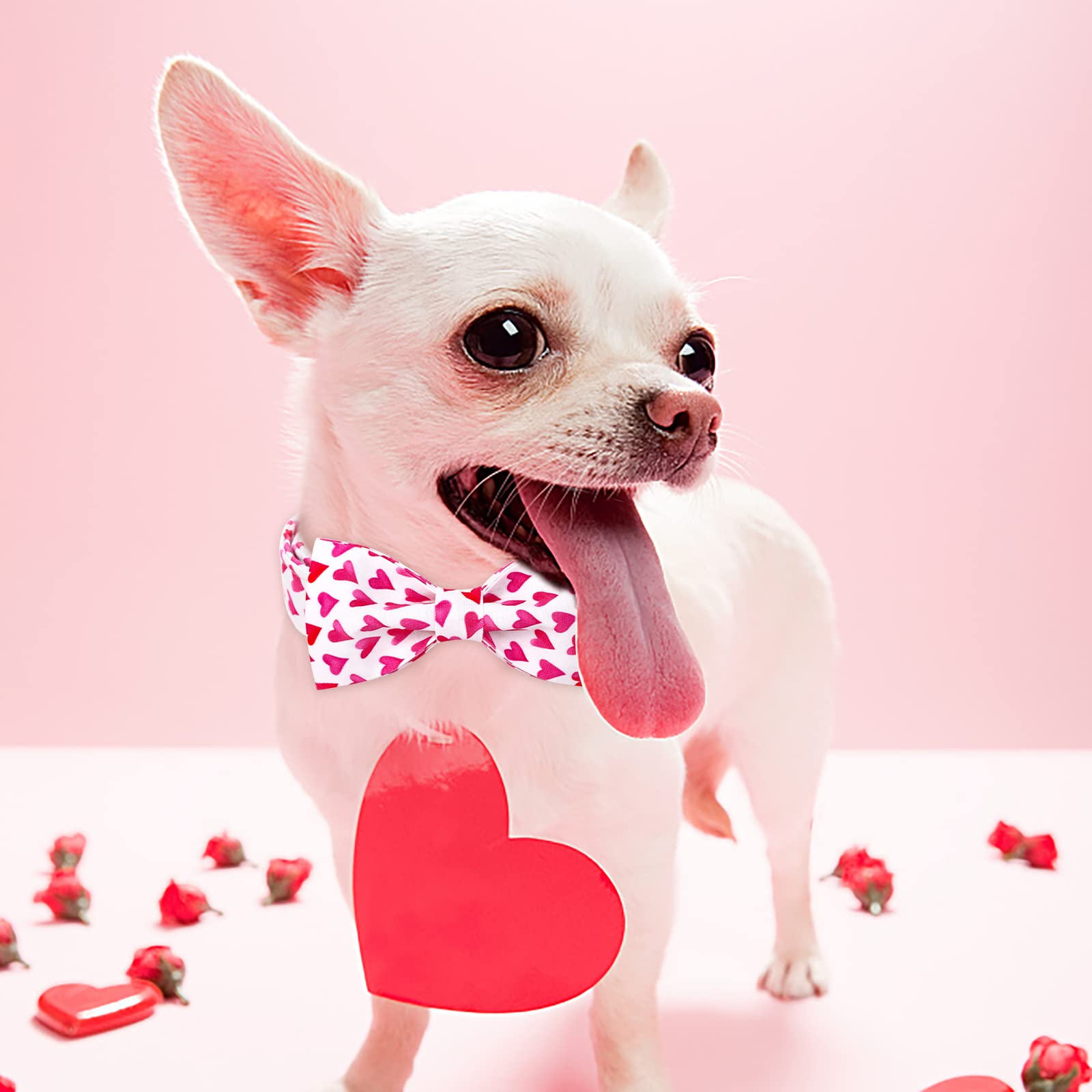 Babole Pet Valentine'S Day Dog Collar With Bow Tie, White Red Love Male Dog Collar With Safety Metal Buckle Adjustable Puppy Collars For Small Medium Large Boy & Girl Dog,M-Neck 13.5'-22'