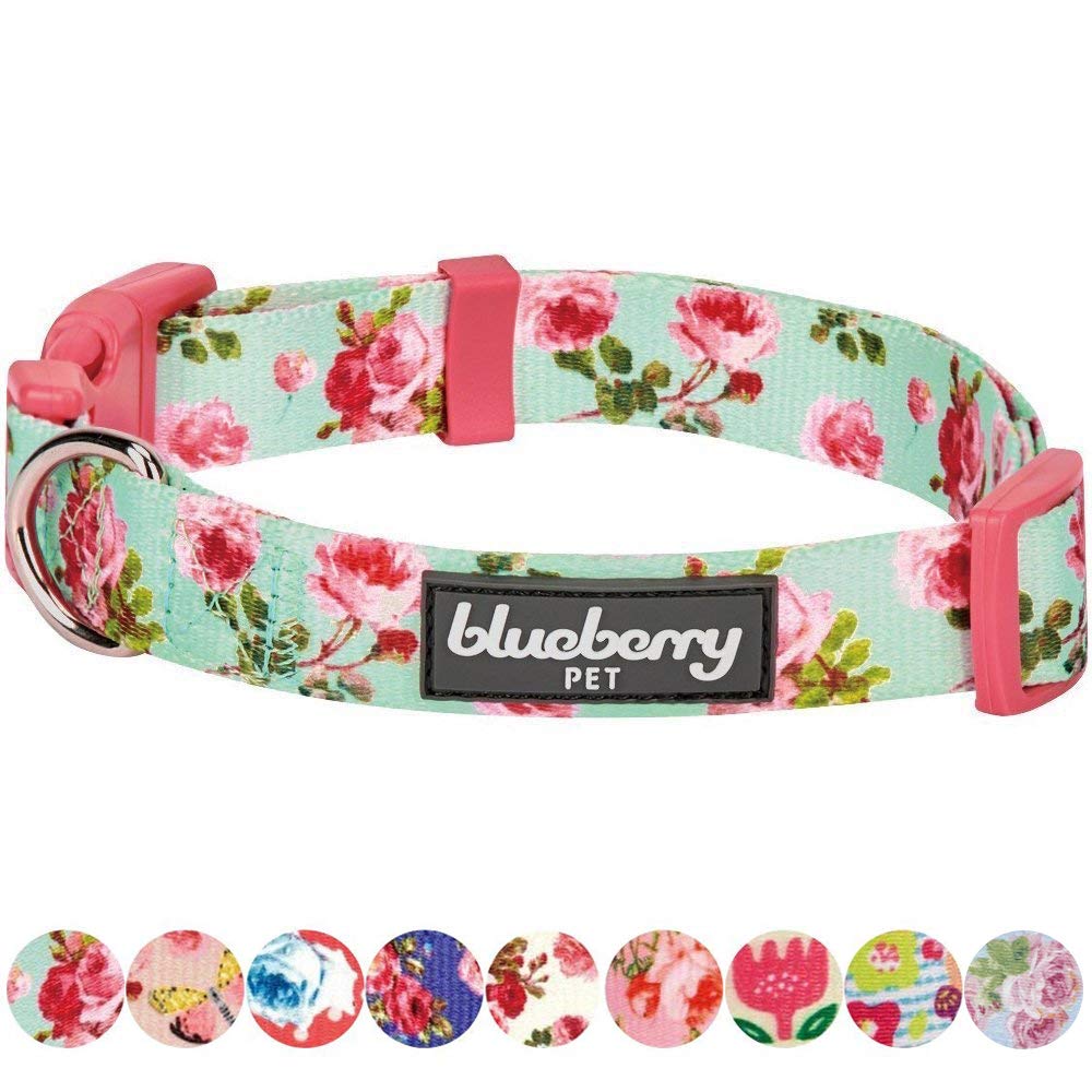 Blueberry Pet 7 Patterns Spring Scent Inspired Floral Rose Print Turquoise Adjustable Dog Collar, Large, Neck 18-26
