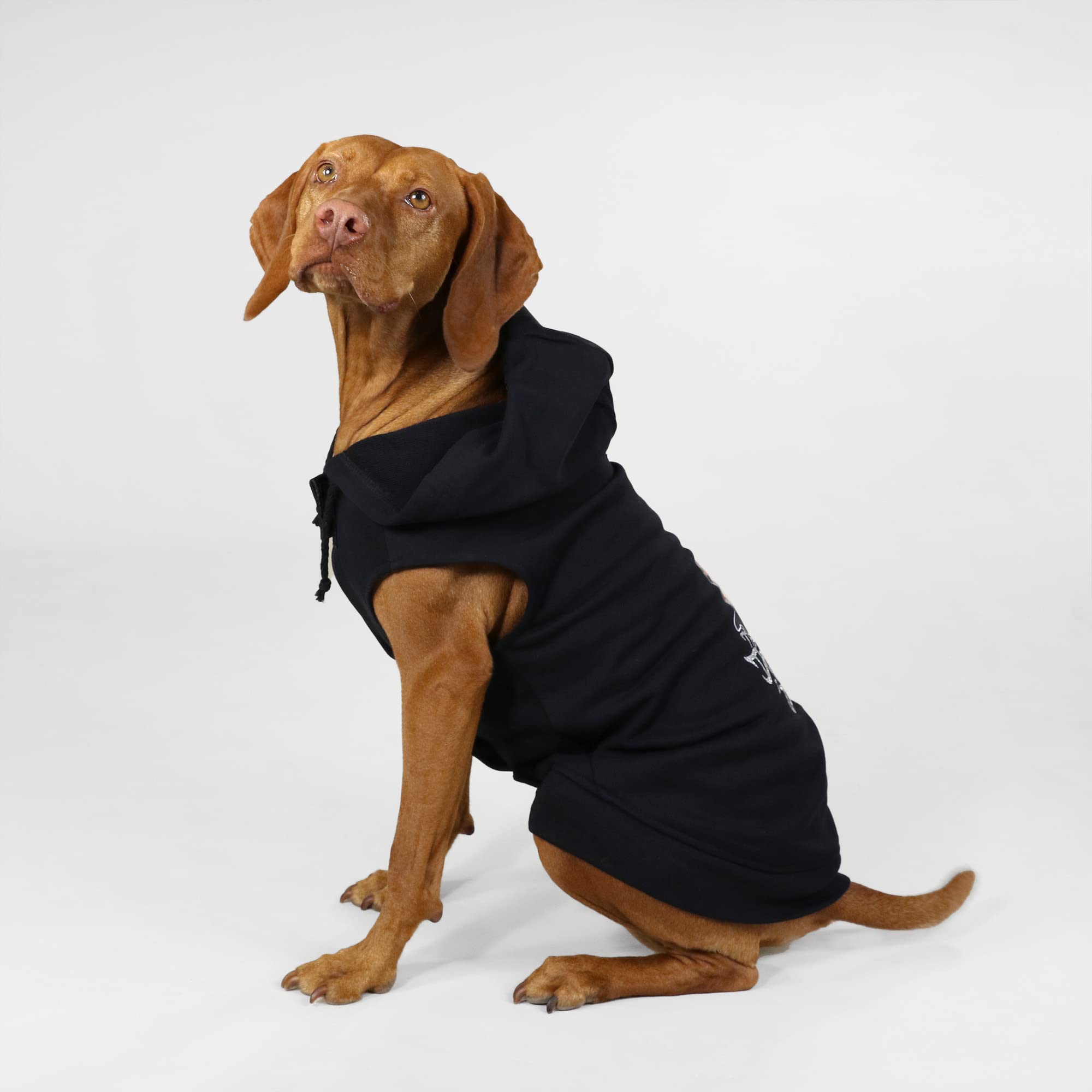 Snoop Doggie Doggs Deluxe Pet Hoodie, Throw a Dogg a Bone, Small