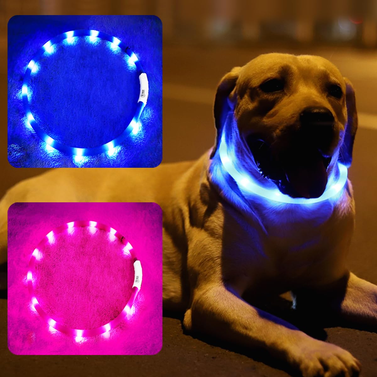 2 Pack Light Up Dog Collars With 1640 Feet Of Visibility - Brightest Glow Dog Collar Light, Rechargeable Dog Collar Light For Ni