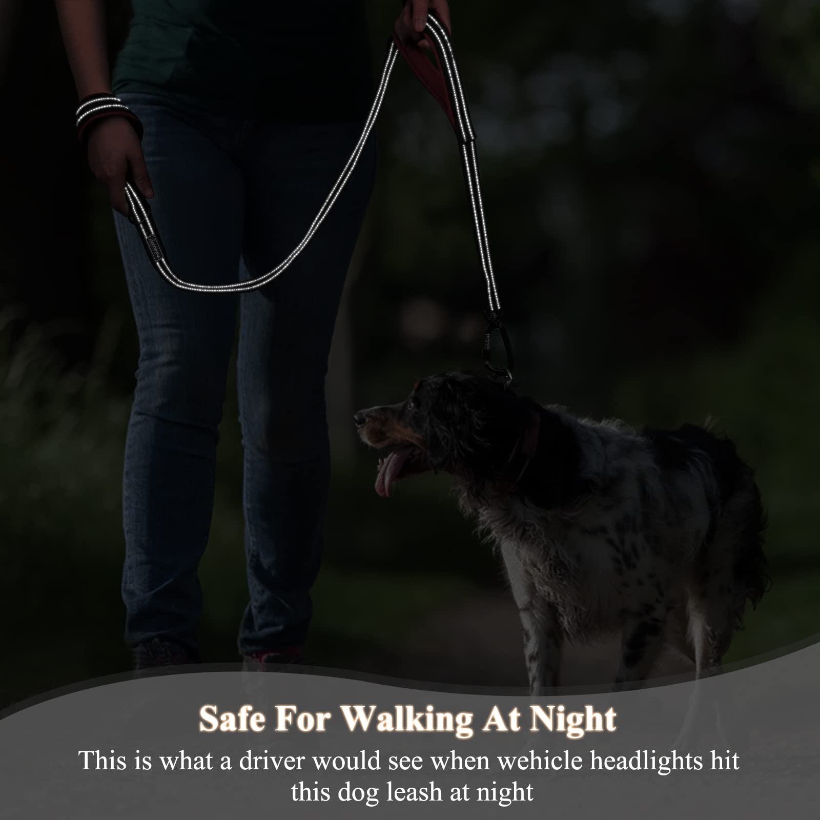 Vivaglory Dog Leash With Lightweight Aluminum Clasp & 2 Padded Handles, 5Ft Nylon Dog Leash Lead Heavy Duty Safety No Pull Climb