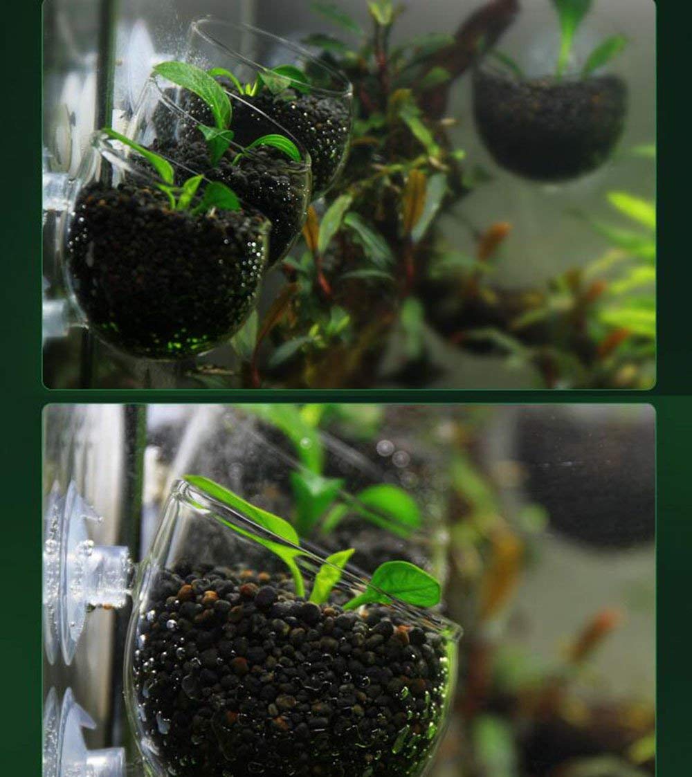 Tfwadmx Aquarium Plant Holder Plant Pot Aquarium Decor Crystal Glass Aquatic Plant Cup With Suction Cups For Fish Tank Aquascape Decoration (4 Pack)