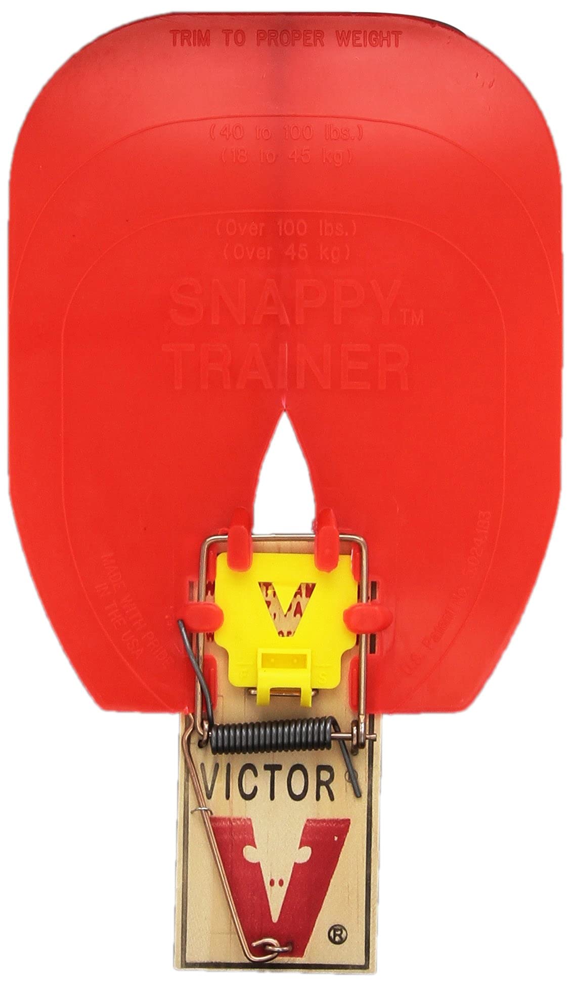 Hueter Toledo Snappy Trainer 2/Pkg