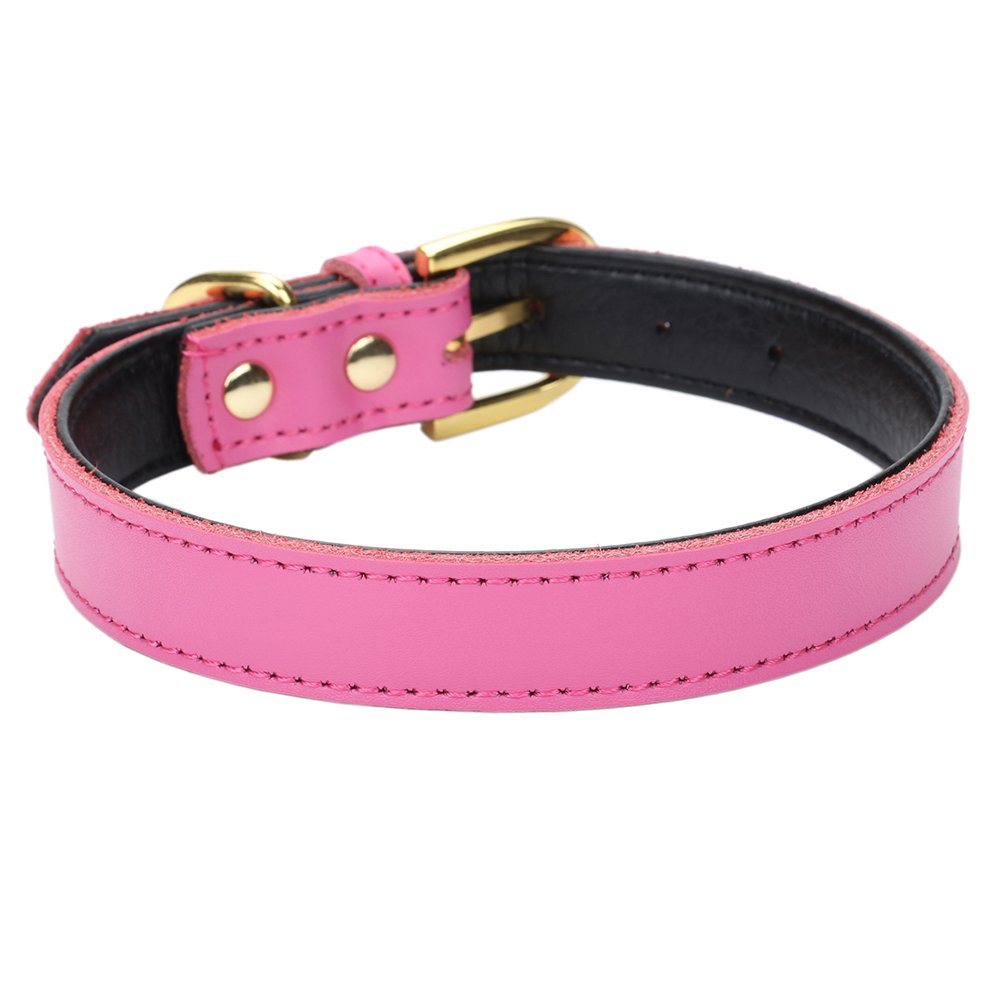 Aolove Basic Classic Padded Leather Pet Collars For Cats Puppy Small Medium Dogs (X-Small (Neck 8.0'-10'), Rose Red)