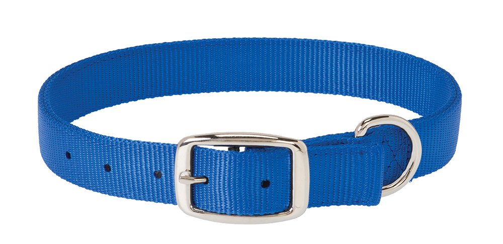 Weaver Leather Prism Classic Collar, 1 X 23-Inch, Blue