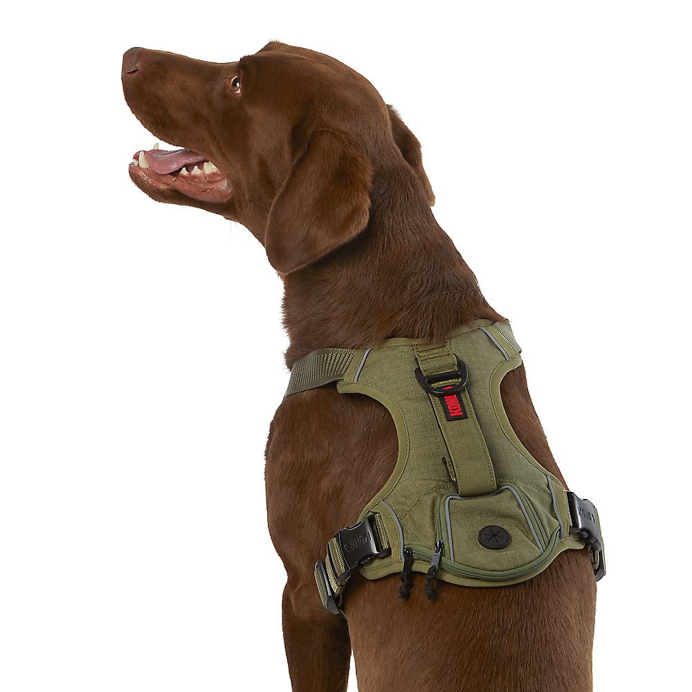 Kong Ultra Durable Waste Bag Harness (Large, Green)