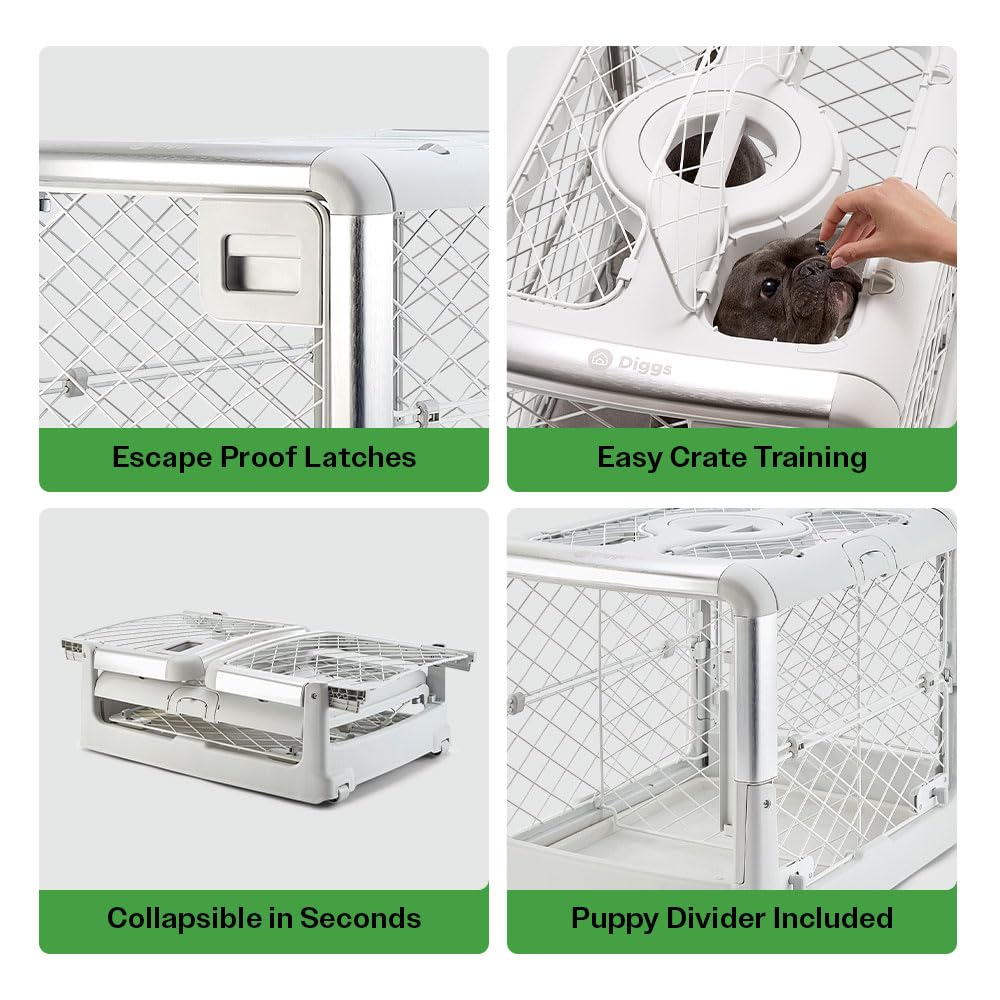 Diggs Revol Collapsible Dog Crate - Portable Indoor Kennel, Ash, Small (28.5"L x 19.8"W x 20.6"H) - Model CRA012AAS