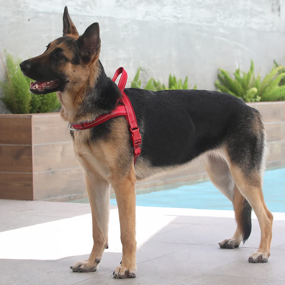Plutus Pet No Pull Dog Harness With Breathable Mesh Padded, Adjustable Reflective Escape Proof Dog Harness, Quick Fit Dog Vest Harness For Small Medium Large Dogs(Xl, Red)