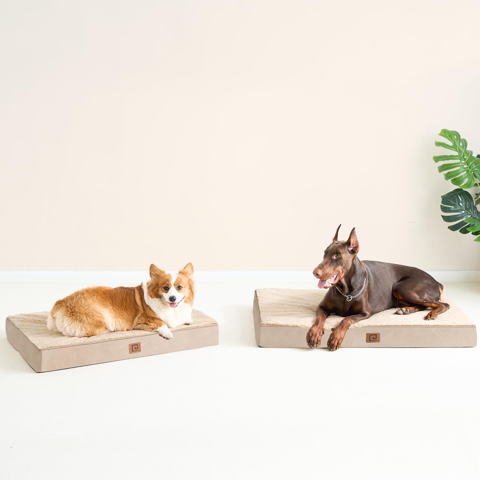 Eheyciga Orthopedic Xl Dog Beds For Extra Large Dogs With Removable Washable Cover, Khaki, 44X32