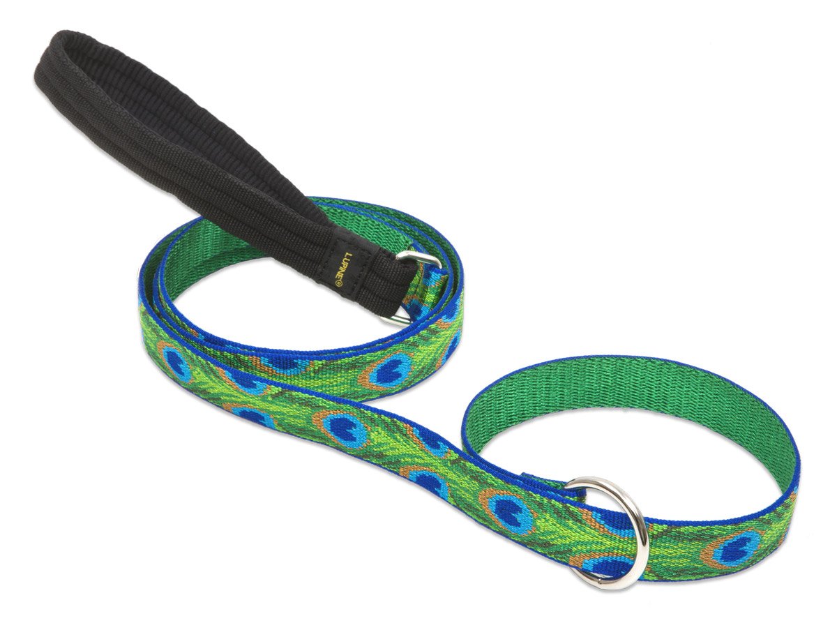 LupinePet Originals 1'' Tail Feathers 6-foot Slip Lead/Leash for Medium and Larger Dogs