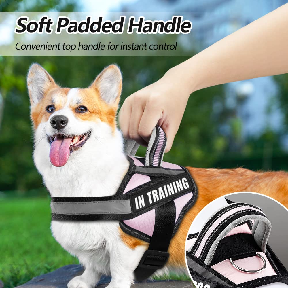Animire Dog Vest Harness (Medium, Pink) - Includes 8 Patches, Reflective, Lightweight, Soft Padded Handle On Top, For Training S