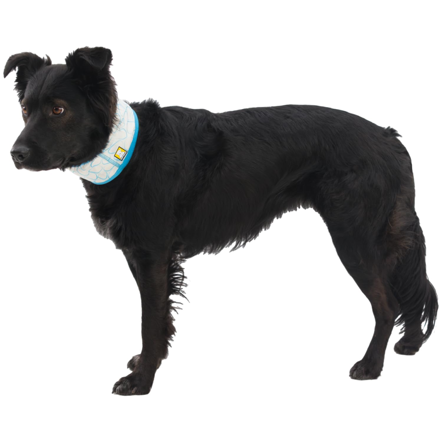 Ruffwear, Swamp Cooler Dog Neck Gaiter, Evaporative Cooling Gear For Hot Weather, Biolumin Blue, Medium