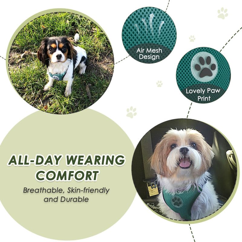 Slowton Dog Seat Belt Harness For Car, Dog Car Harness Adjustable Mesh Breathable & Dog Seatbelt Safety Tether With Elastic Bungee For Small Medium Large Pets(Green, Double Clip, M)