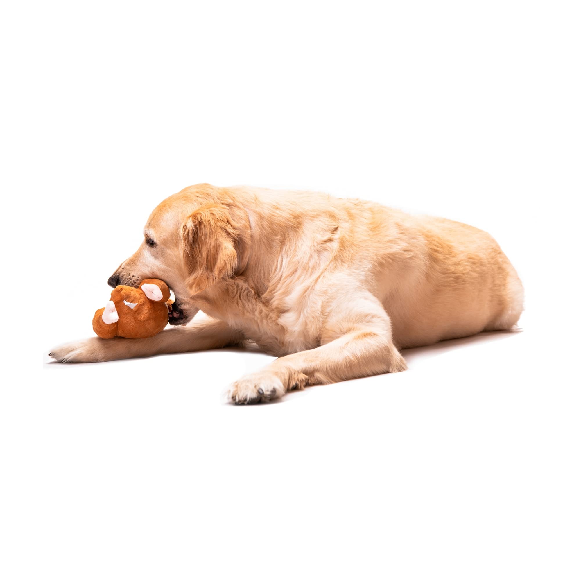 Midlee Plush Roasted Thanksgiving Turkey Dog Toy, Large, Multi Color
