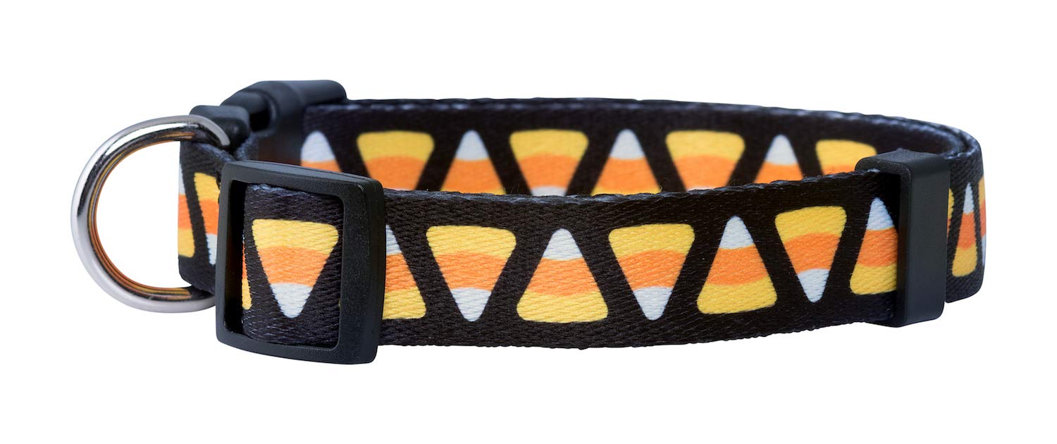Native Pup Halloween Dog Collar (Medium, Candy Corn)