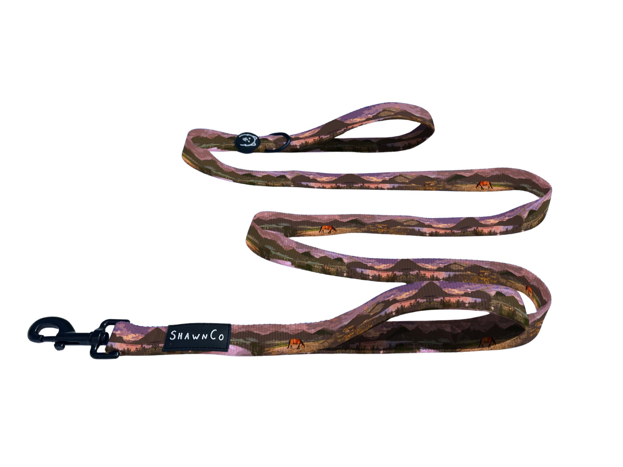Shawnco Dream Walk Dog Leash- Premium, Nylon Pet Leash With Soft Neoprene Handle For Small, Medium And Large Dogs (Montana Daydr