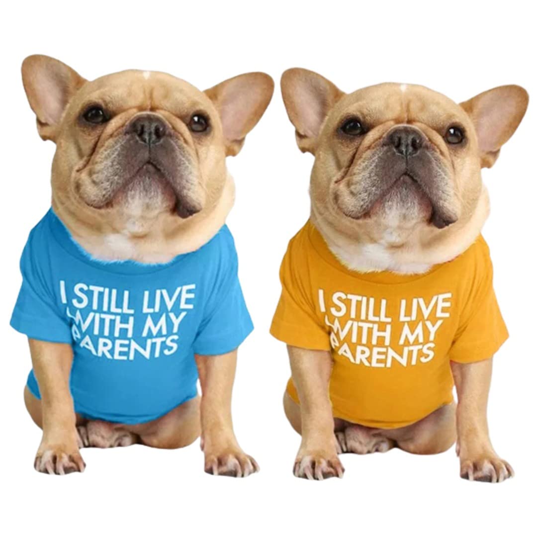 Kutkut 2 Pcs Pet Dog Breathable Stretchy Round Neck T-Shirt I Still Live With My Parents Small Dogs Cats Summer T-Shirts Soft Co