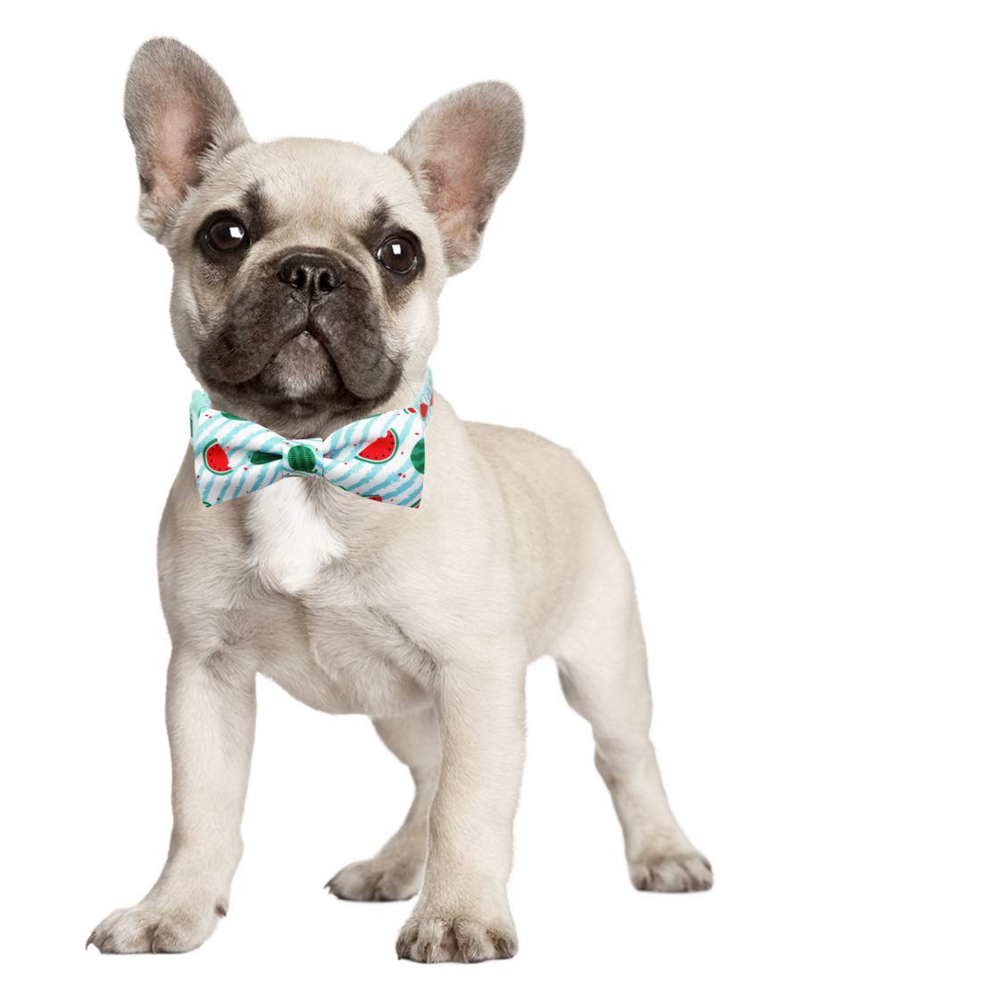 Azuza Bowtie Dog Collar, Stylish And Comfy Watermelon Dog Collar With Bow Tie For Small Dogs
