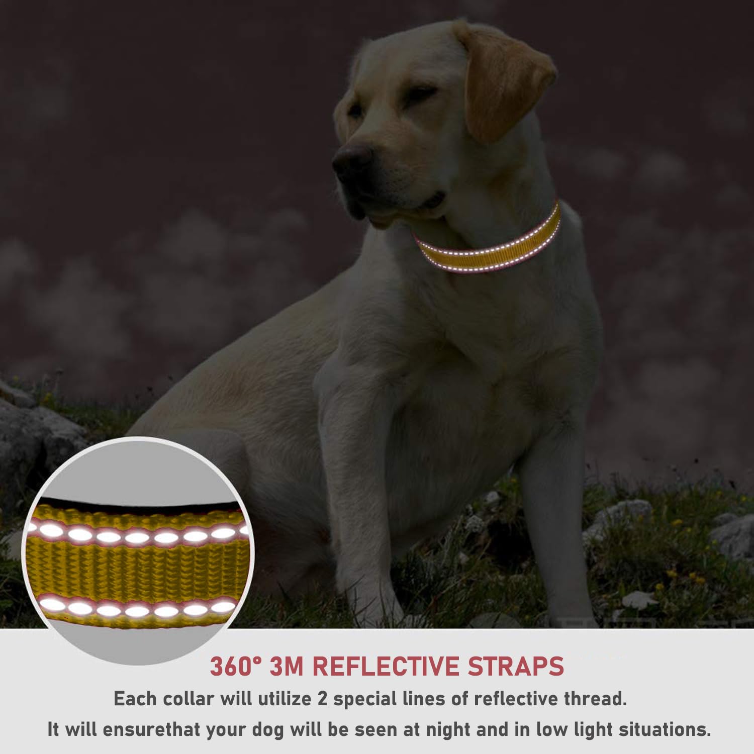 Reflective Dog Collar With Buckle Adjustable Safety Nylon Collars For Small Medium Large Dogs, Brown S