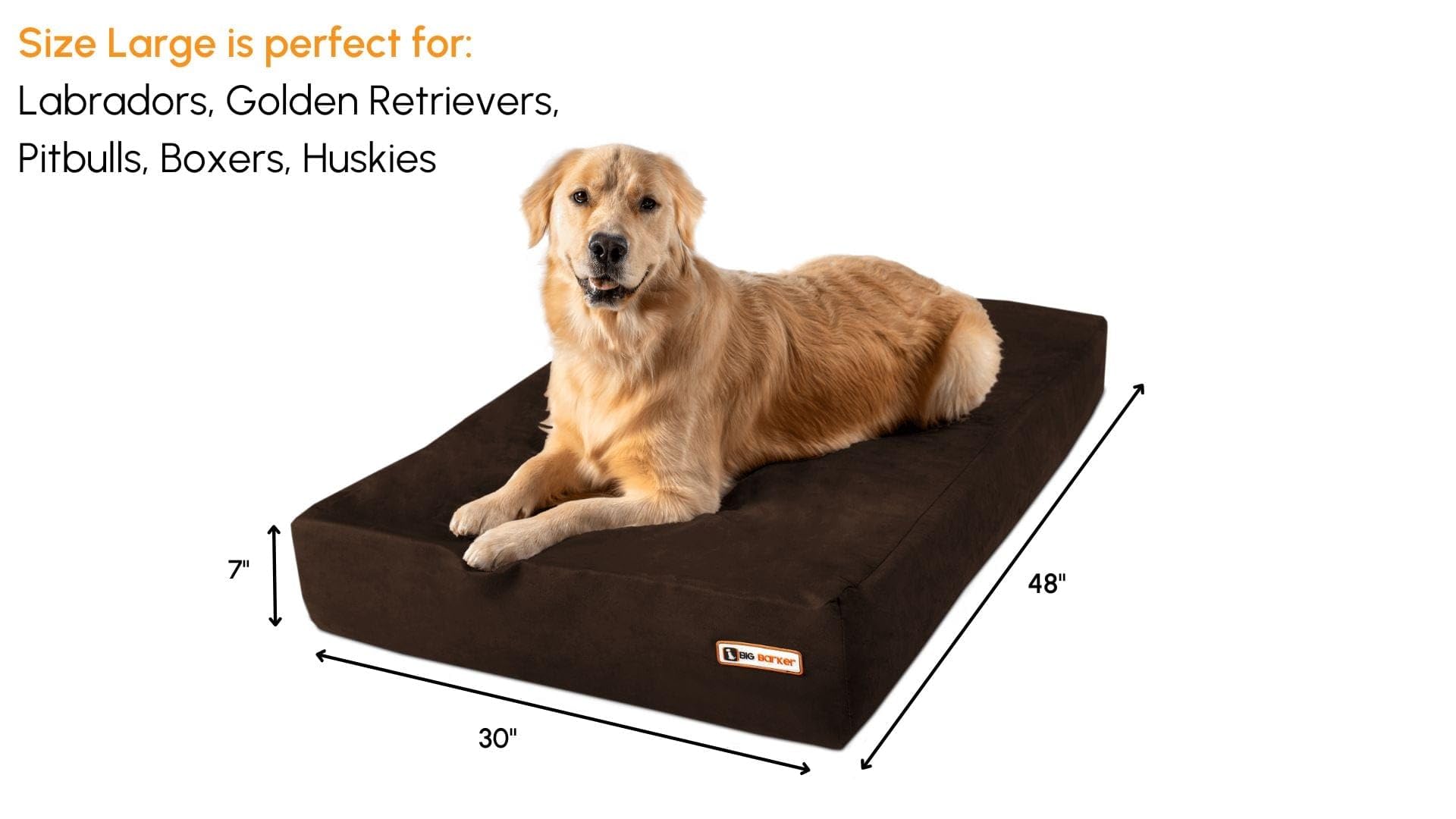 Barker Beds Sleek Dog Bed For Large Sized Dogs (Large, Chocolate) - 7'' Thick Soft & Comfortable Orthopedic Cushion - Durable &