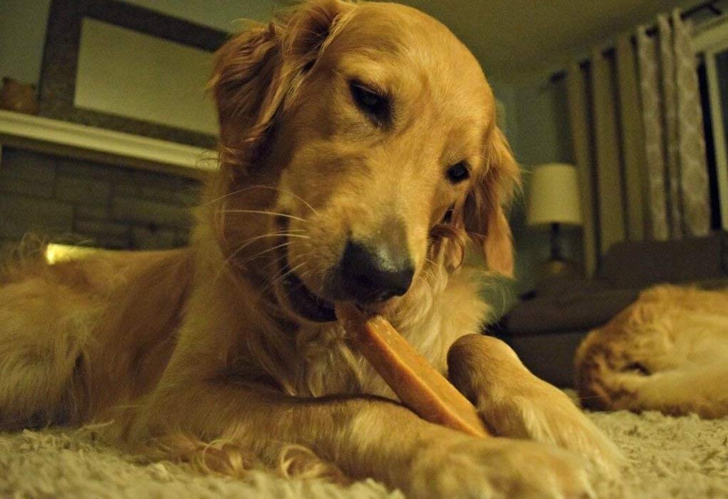 EcoKind Premium Gold Yak Cheese Himalayan Dog Chews, Dog Treats for Medium Dogs, All Natural, High Protein, for Aggressive Chewe