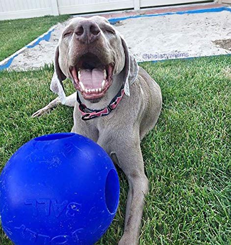 Jolly Pets Teaser Ball Dog Toy, Extra Large/10 Inches, Blue (1510 Bl)