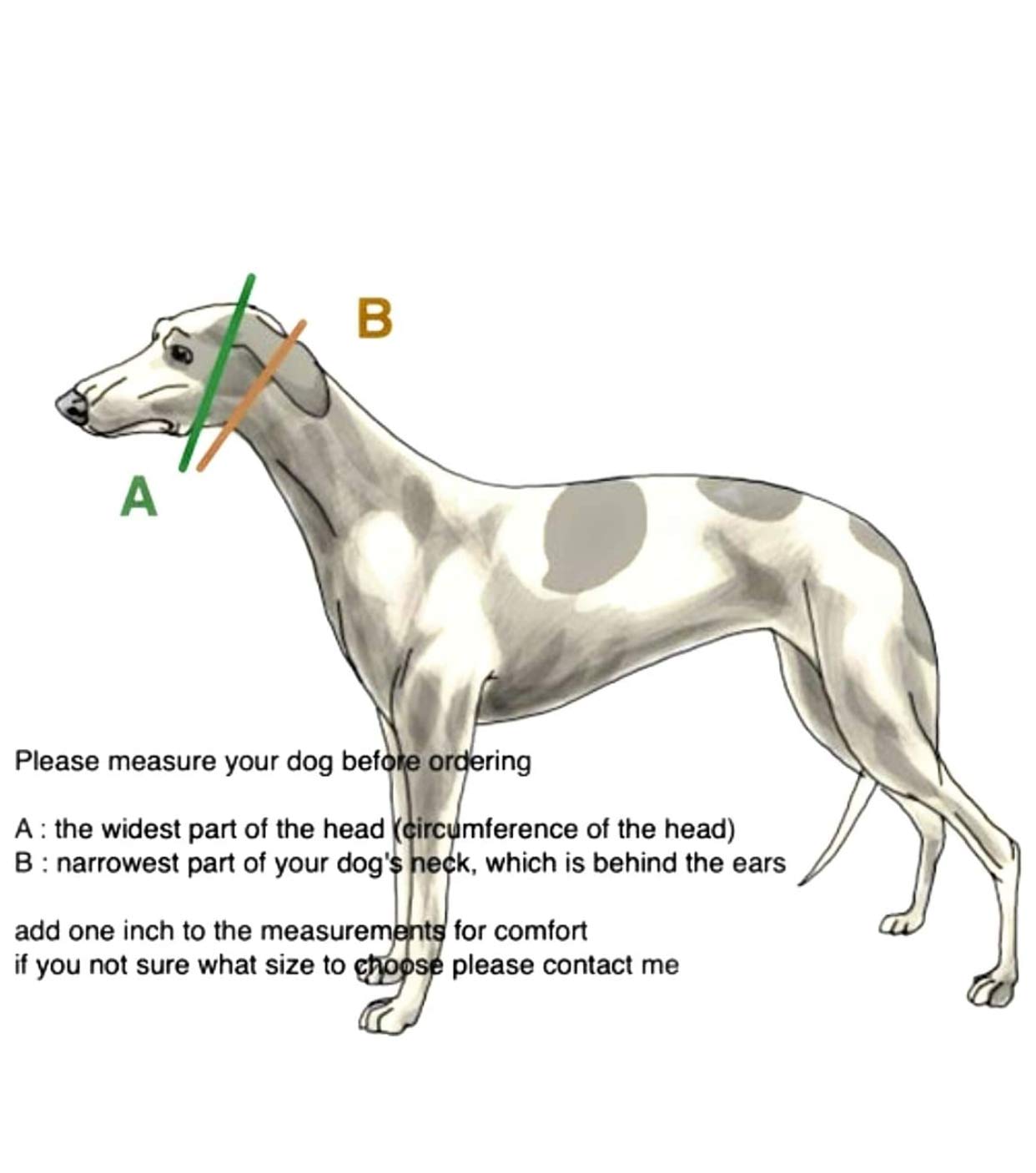 Sighthound Gang Extra Soft Martingale Dog Collar For Greyhound Saluki Whippet And Other Breeds With Similar Neck 2' Wide (M 11'-14')