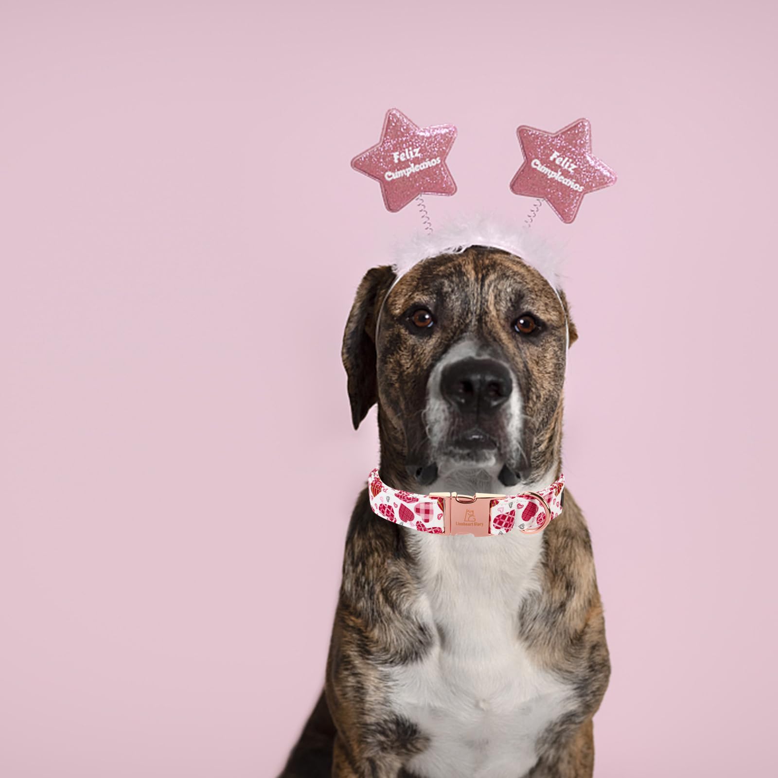 Lionheart Glory Valentine Collar, Cookie Hearts Dog Collar For X-Small Cute Dog Collars Spring Female Pet Gift Adjustable Heavy-