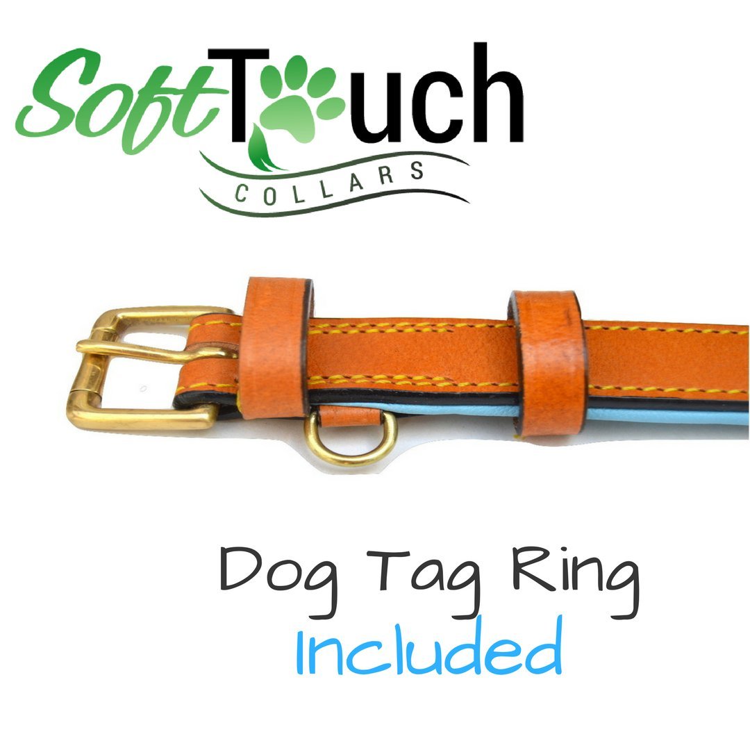 Soft Touch Collars Luxury Real Leather Dog Collar, Tan/Teal, Small, 16" Long, 5/8" Wide, Neck Size 11"-13.5"