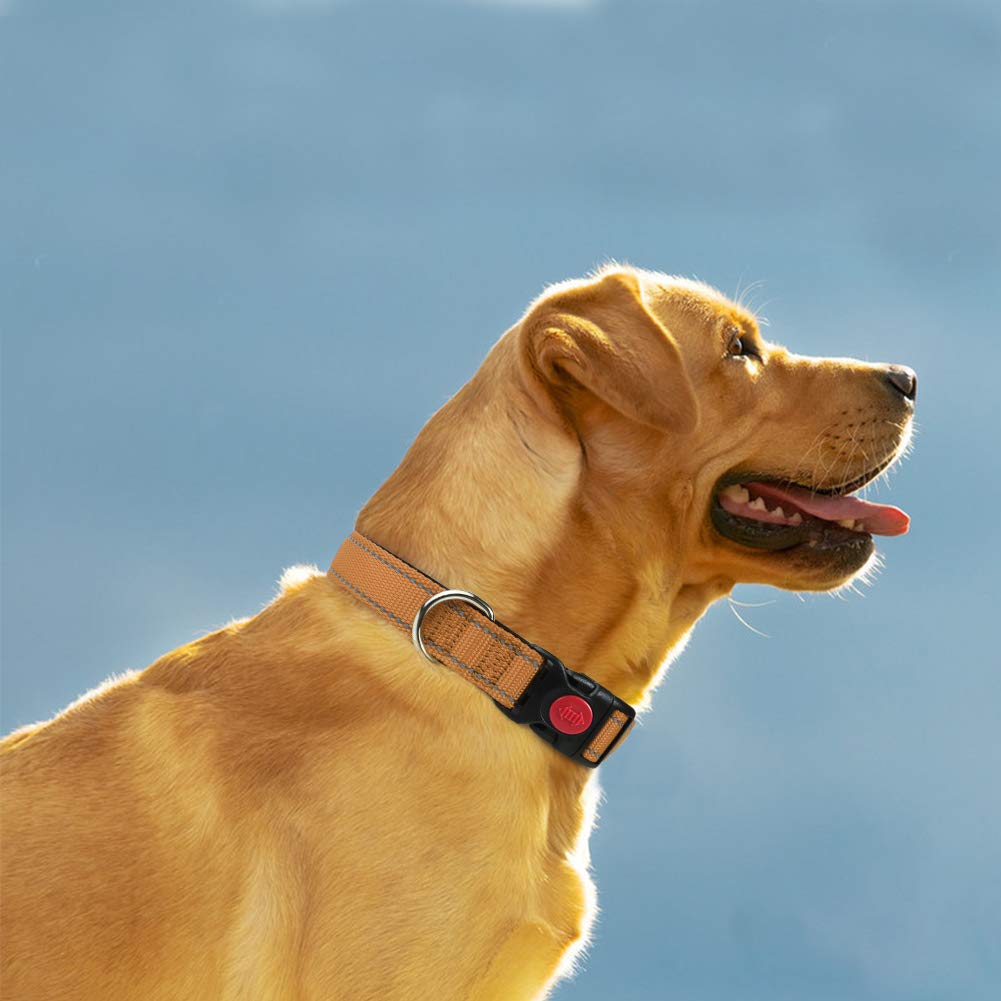 Taglory Reflective Dog Collar With Safety Locking Buckle, Adjustable Nylon Pet Collars For Medium Dogs, Tan